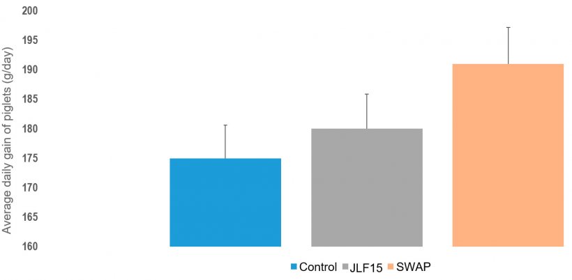 Figure 3. ADG of piglets in the 3 farrowing systems studied (Conventional, JLF15 and SWAP).
