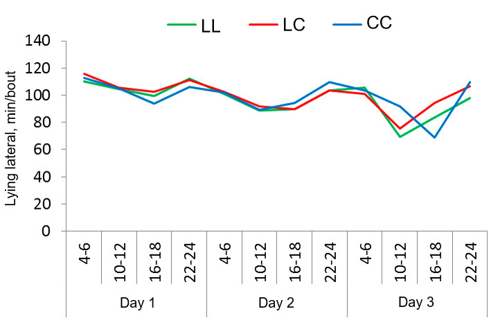 Figure1. Lying pattern of sows in the SWAP system with 3 different strategies of use: no confinement, confinement after farrowing and during 4 days (then loose), or confinement on the day before&nbsp; farrowing and during 4 days after (then loose).

Time (recorded in 2 h periods) sows spent lying on the side for the first 3 days of lactation in three treatments: Loose housed in farrowing and lactation (LL), confined after farrowing and during the first 4 days of lactation (LC), Confined one day before expected farrowing and during the first 4 days of lactation (CC).
