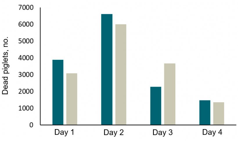 Figure 2. Recordings (2 years) of piglet mortality in two herds with SWAP farrowing pens. Most piglets die within the first 4 days and especially within the first 24 h of life.

