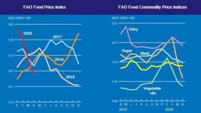 FAO Food Price Index