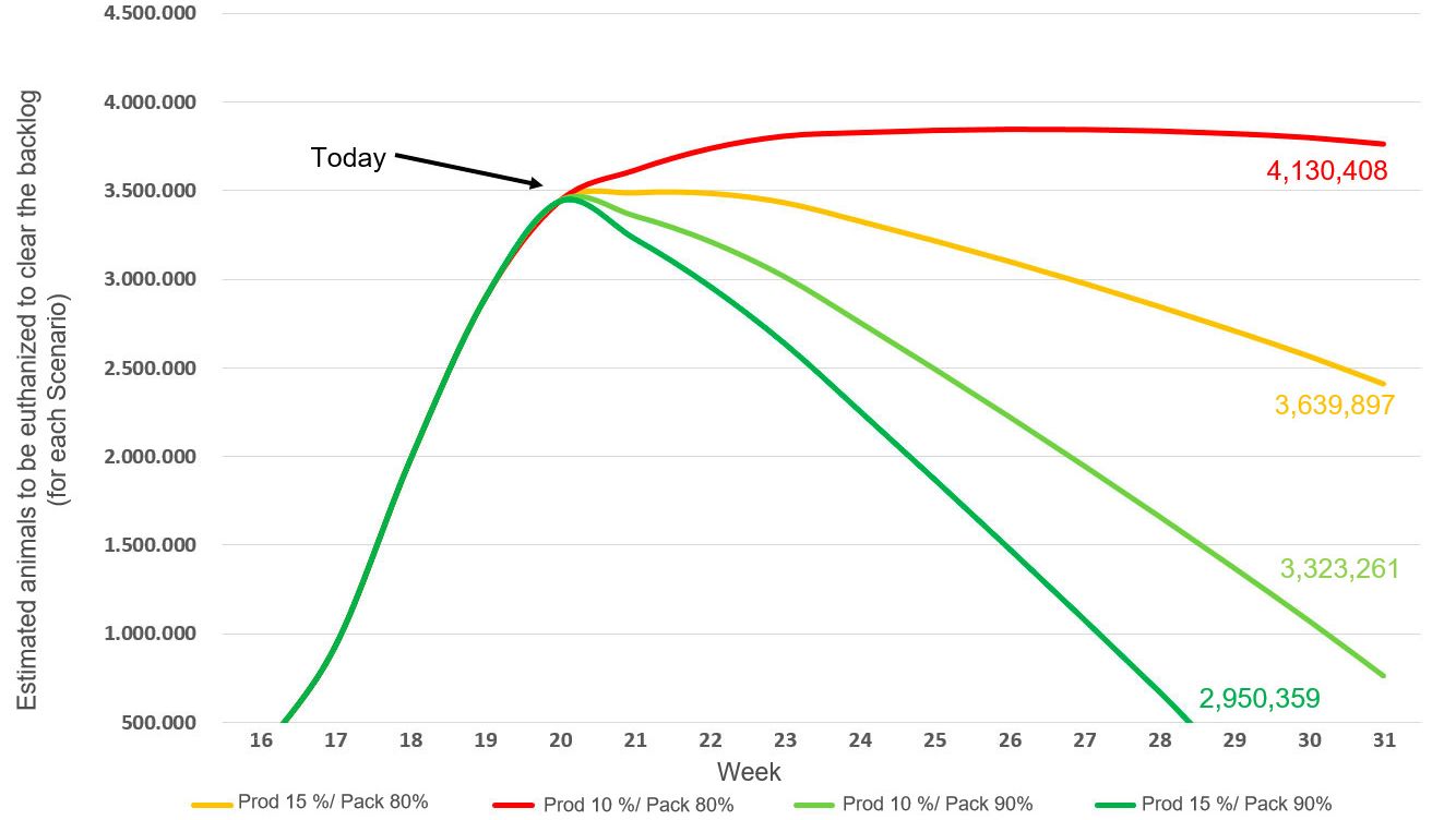 Figure 2. &nbsp;Flattening the euthanasia curve: Cummulative backlog of US barrows and gilts under four scenarios until the end of July. Source data: USDA NASS Slaughter Survey and AMS LM_HG201
