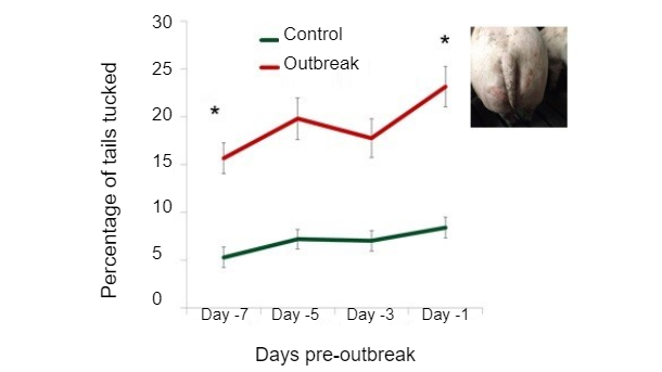 Figure 1. Percentage of tails tucked according to&nbsp;days pre-outbreak.
