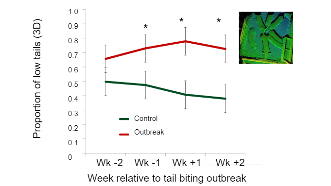 Figure 2. Proportion of low tails&nbsp;according to week relative&nbsp;to pre-tail biting outbreak.
