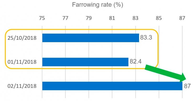 Graph&nbsp;6. Farrowing rate associated with&nbsp;the breedings done during the All Saints&#39; Day holiday.
