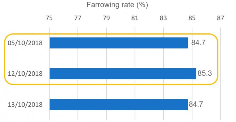 Graph 5. Farrowing rate associated with&nbsp;the breedings done during Hispanic&nbsp;Day.
