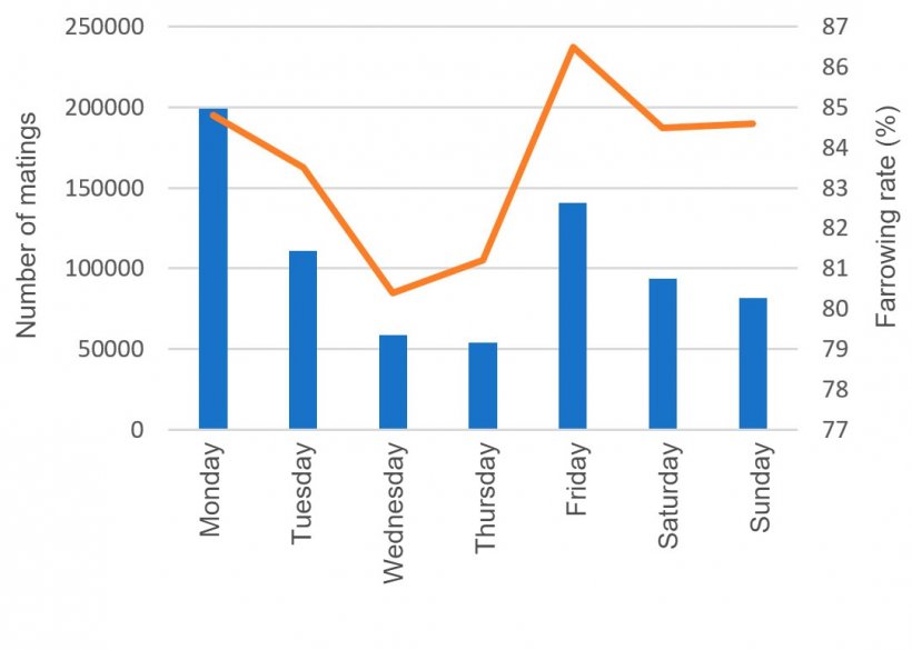 Graph 8. Matings and their respective farrowing rates according to the day of the week.

