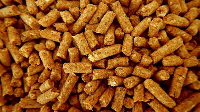 compound feed