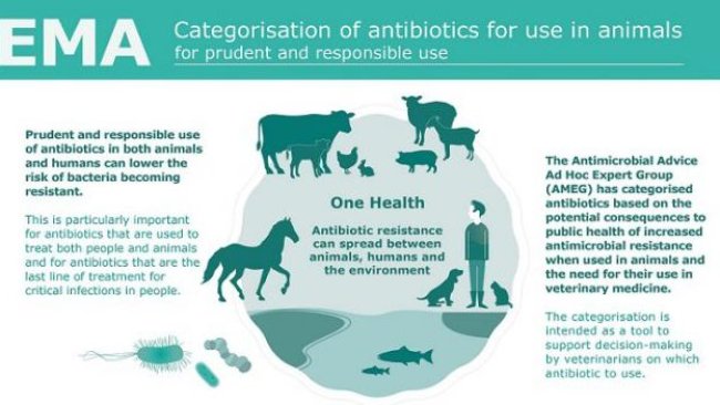 antimicrobials