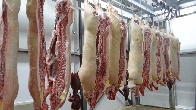 pork