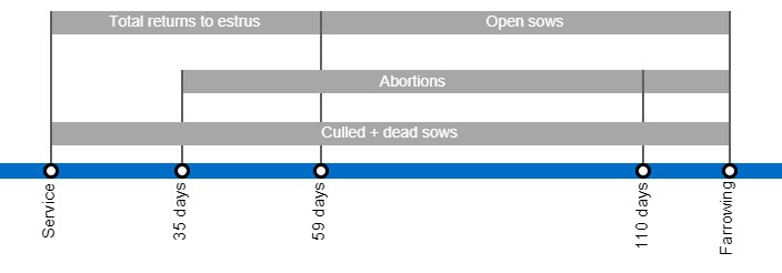 Types of gestation losses that can lower the farrowing rate, detailing the different types of returns to estrus based on they occur.