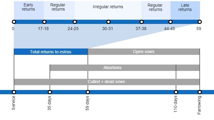 Types of gestation losses that can lower the farrowing rate, detailing the different types of returns to estrus based on they occur.
