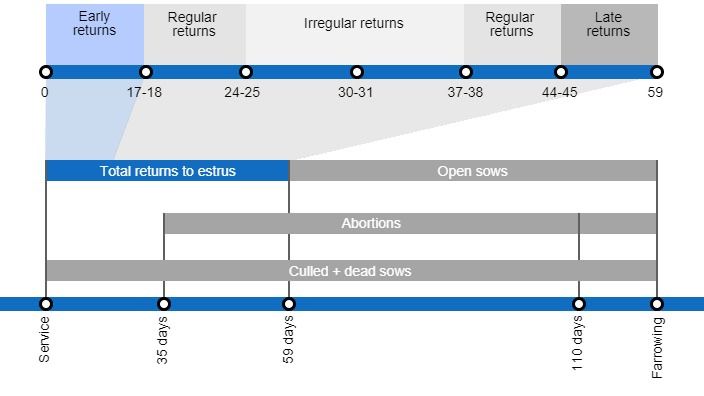Types of gestation losses that can lower the farrowing rate, detailing the different types of returns to estrus based on they occur.