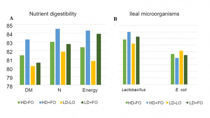 Figure 2:&nbsp;Effects of fermented oats in different nutrient-density diets on apparent total tract digestibility (ATTD) and ileal microorganisms in weanling pigs.
