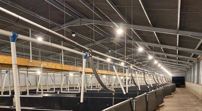 Greengage lighting installed at a BQP contract growers unit in Suffolk.
