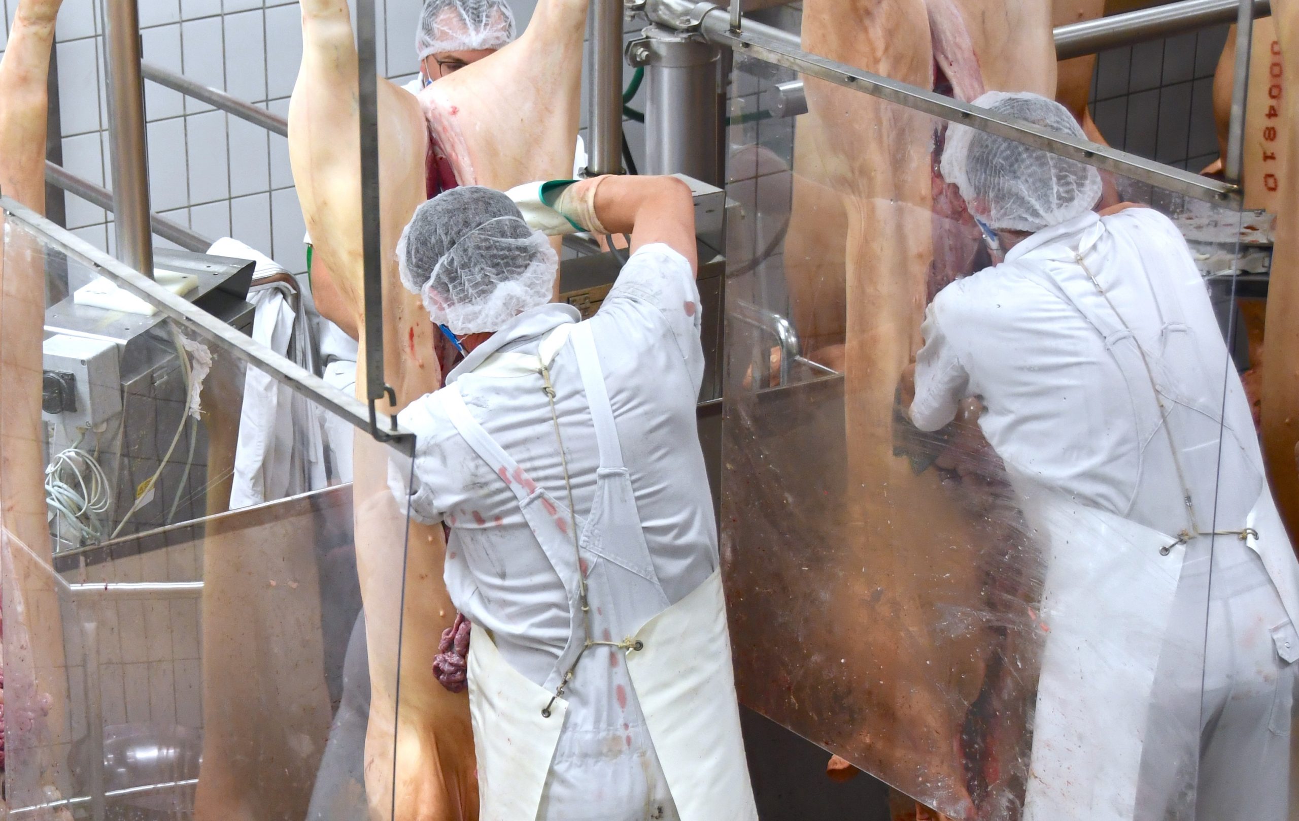 Happy Abattoir Families