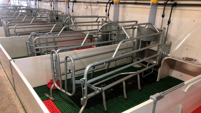 Photo 2. A correctly cleaned farrowing area, disinfected and dry, ready&nbsp;to receive sows about to farrow.
