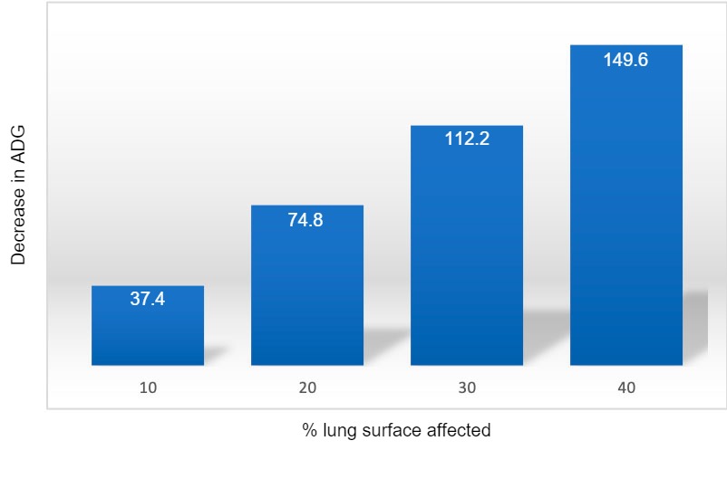 Figure 1: Decrease in ADG&nbsp;(grams) in relation to the percentage of the lung surface affected by pneumonia. Adapted from&nbsp;Straw et al. (1989).

