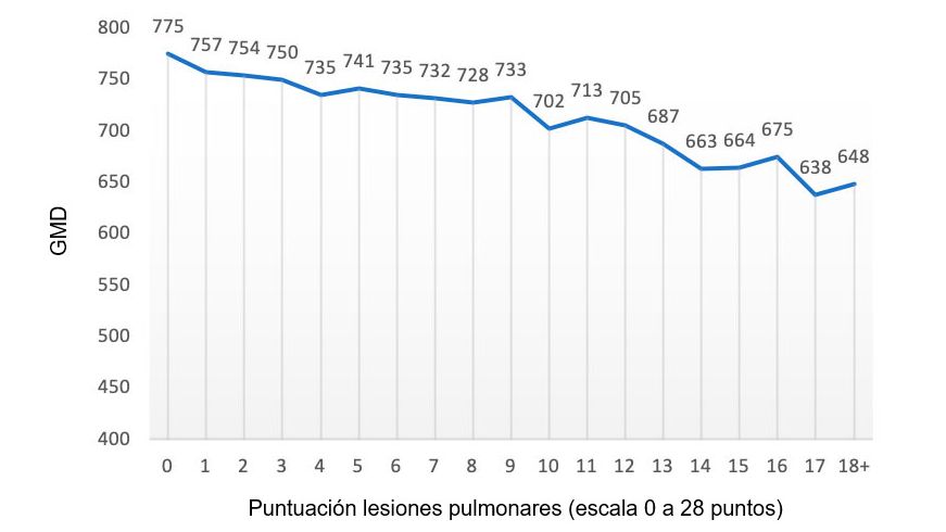 Figure 2: ADG value (grams) in relation to the lung score (scale of &nbsp;0 to&nbsp;28 points). Adapted by Pagot et al. (2007).
