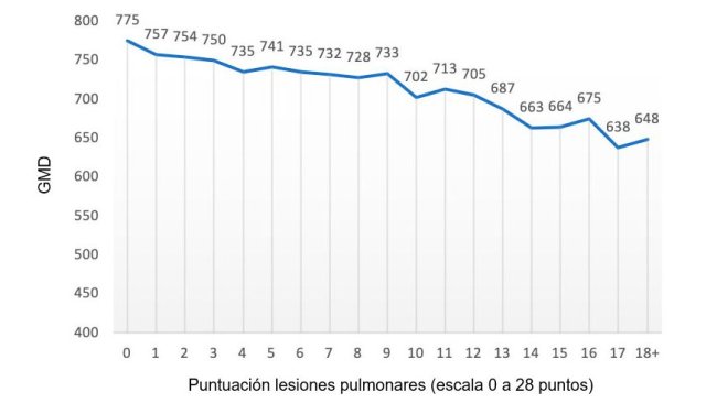 Figure 2: ADG value (grams) in relation to the lung score (scale of  0 to 28 points). Adapted by Pagot et al. (2007).