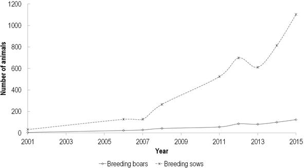 Figure 1. Census of Nero Siciliano pig breed, presenting number of sows and boars per year, starting with the year of herdbook establishment.
