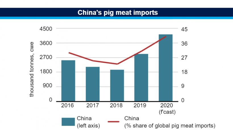 China's pig meat imports. Source: FAO.
