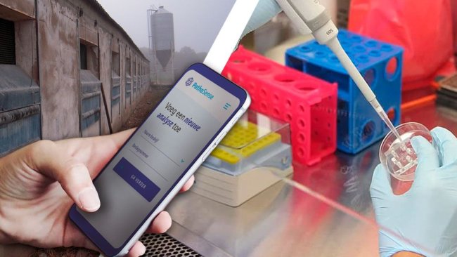 Image 2. Illustration of Dr. Nauwynck’s future diagnostic platform.