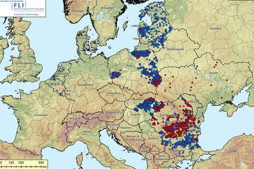 Map of ASF outbreaks in Europe as of September 10, 2020. Outbreaks in wild boar (blue) and in domestic pig (red). Source: FLI.
