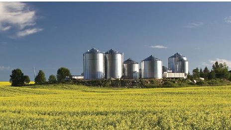 Image 2. Feed processing facility in North America. Source ANACAN.
