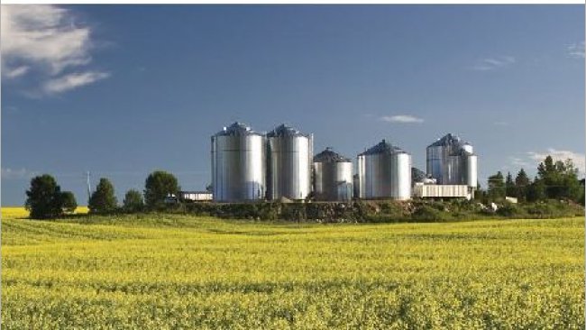 Image 2. Feed processing facility in North America. Source ANACAN.