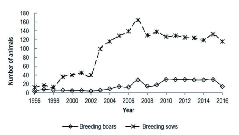 Figure 1. Census of Turopolje pig breed, presenting number of sows and boars per year, starting with the year of heard book establishment.
