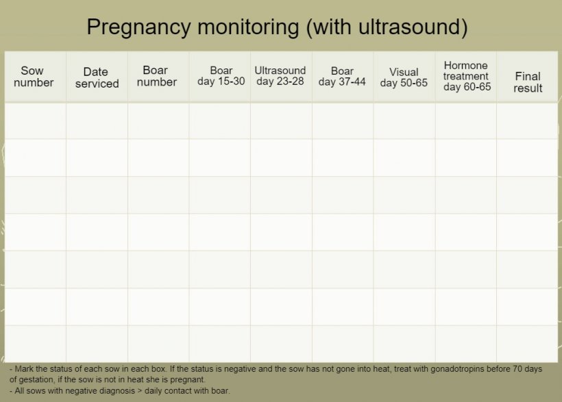 Gestation monitoring
