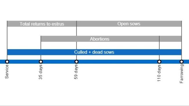Types of gestation losses that can lower the farrowing rate, detailing the different types of returns to estrus based on when they occur.