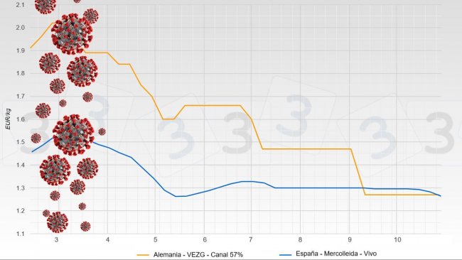 Evolution of the price of pork following COVID-19 (German price in carcass, Spanish price in live)