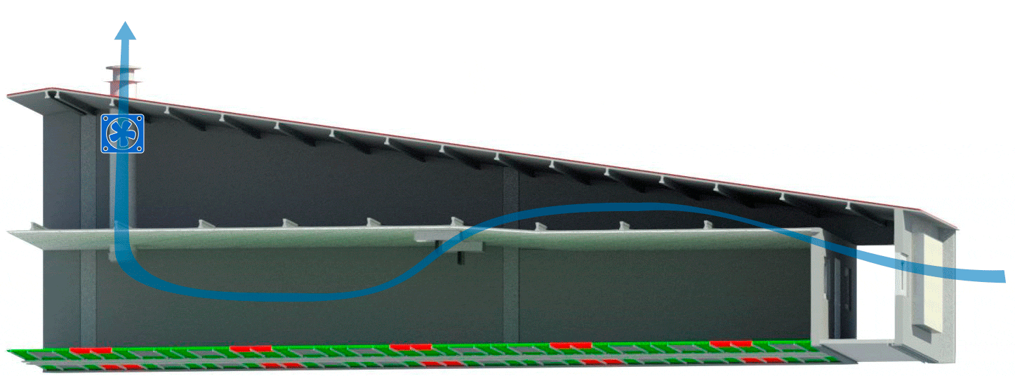 Figure 3:Underpressure ventilation: Farrowing building with one side air intake towards a plenum space. Ceiling room inlets and fan drive exhaust.
