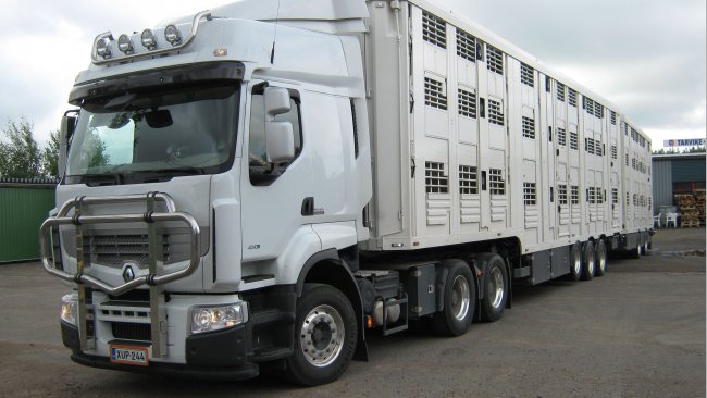 Page 2 of articles about transport in Swine news - pig333, pig to pork  community