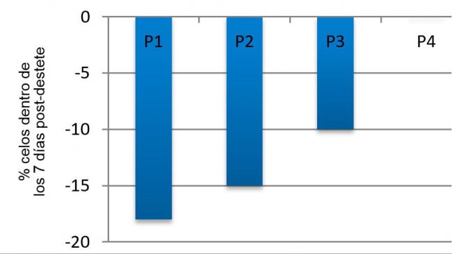 Figure 3. Effect of parity on the percentage of sows expressing estrus within the first 7 days post-weaning in summer compared to spring (adapted from Belstra et al., 2004).