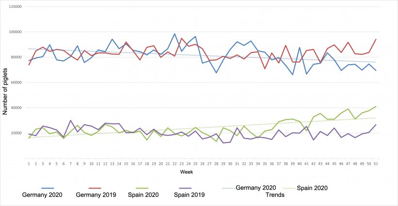 Weekly evolution of Dutch piglet exports to Germany and Spain for 2019 and 2020.

