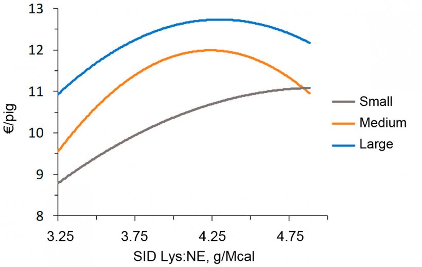 Figure&nbsp;2. Economic modeling (IOFFC) of the effect of lysine:energy ratio in finishing pigs&nbsp;(28-63 kg LW) classified by&nbsp;their starting weight&nbsp;(from Aymerich et al., 2020)

