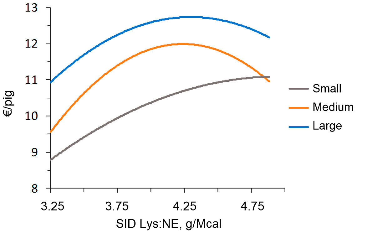 <p>Figure&nbsp;2. Economic modeling (IOFFC) of the effect of lysine:energy ratio in finishing pigs&nbsp;(28-63 kg LW) classified by&nbsp;their starting weight&nbsp;(from Aymerich et al., 2020)</p>
