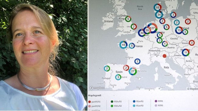 Right: Dr. Kathrin Lillie-Jaschniski. Left: Iteractive map shows European countries where different strains of swine flu have been diagnosed.