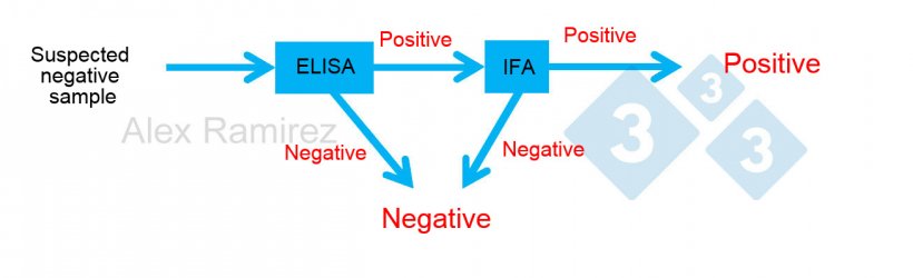Diagram demonstrating the use of PRRS IFA as a confirmatory test for samples unexpectedly testing PRRS ELISA positive samples. A suspected negative sample that test ELISA negative is considered negative. If this sample unexpectedly test positive then a PRRS IFA can be done as a confirmatory test. That is if the IFA test is positive it is confirmed the sample is positive. If the IFA test is negative we would then assume it was a false positive as long as the PCR is also negative so as to confirm no recent infection.
