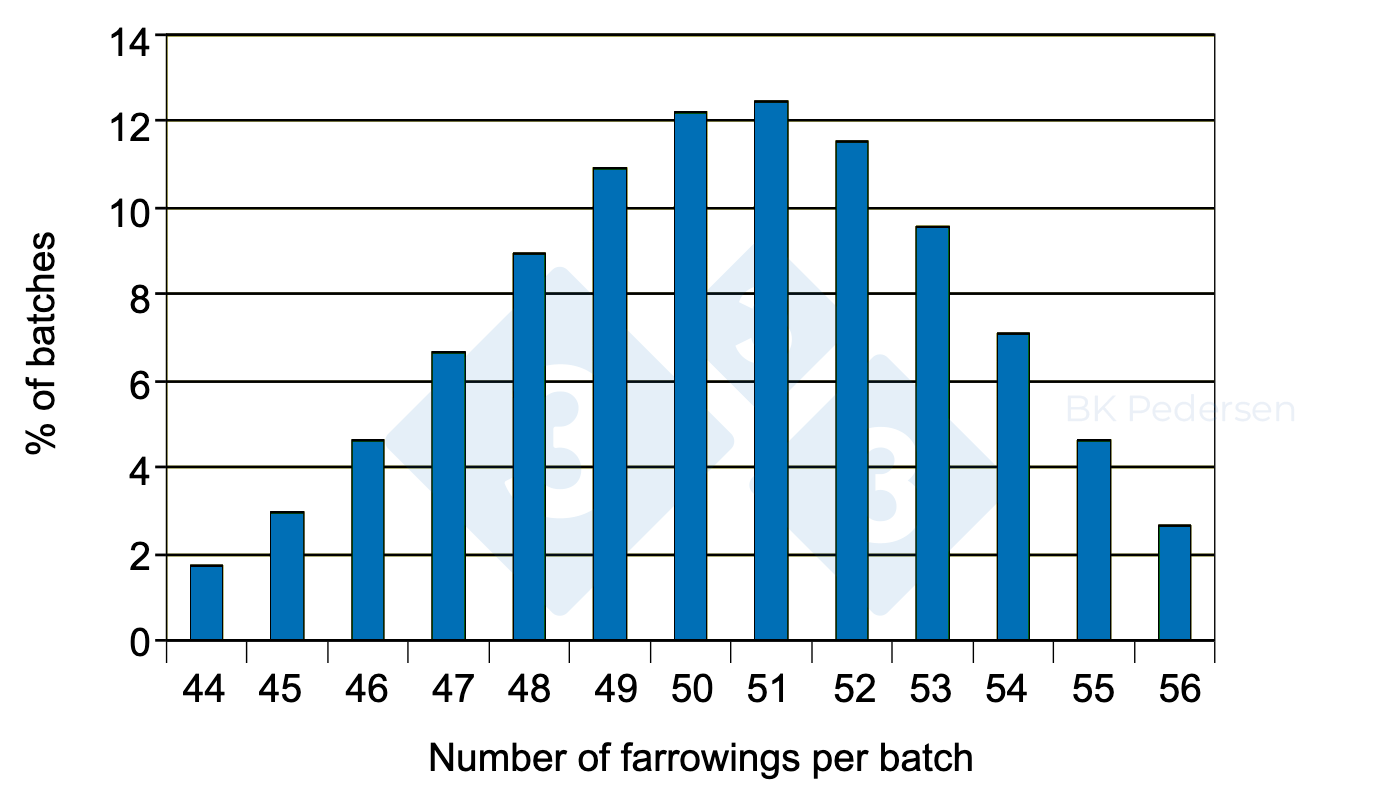 80% farrowing rate, 50 sows/batch
