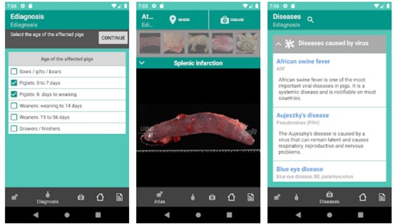 The &quot;E-diagnostics&quot; application is a tool that serves as a support guide for the diagnosis of swine diseases.
