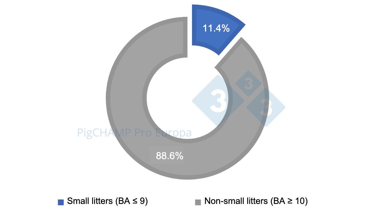 Figure 1. Percent distribution of litters by size, 2018-2019.
