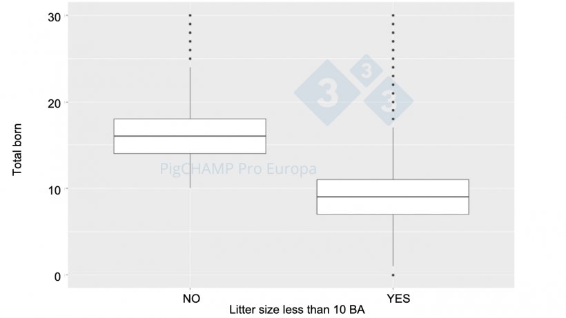 Figure 4. Box plot representation of the number of total piglets born according to BA litter size, 2018-2019.
