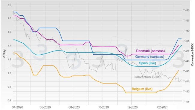 Graph 2. Evolution of pig prices in Germany, Spain, Denmark, and Belgium.