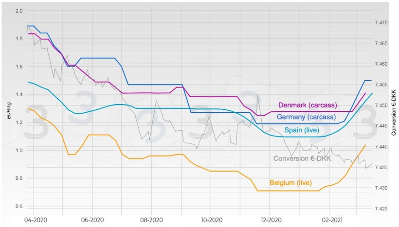Graph&nbsp;2. Evolution of pig prices in Germany, Spain, Denmark, and Belgium.
