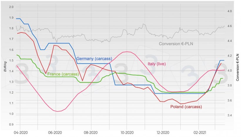 Graph 3. Evolution of pig prices in Germany, France, Italy, and Poland.
