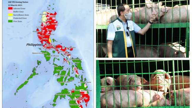 Source: Department of Agriculture of the Philippines.
