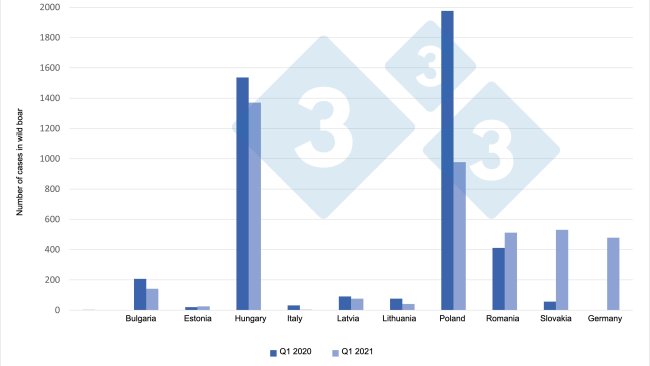 ASF cases in wild boar (Q1 2021 vs. Q1 2020)